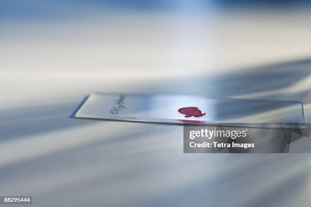 drop of blood on slide - microscope slide stock pictures, royalty-free photos & images
