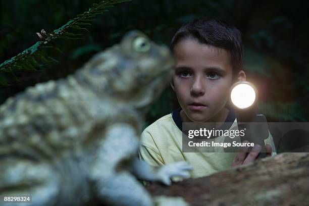 boy with torch and toad - wonderlust2015 stock pictures, royalty-free photos & images