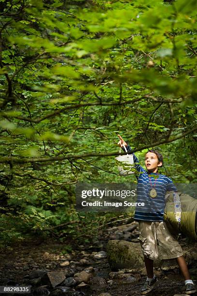 boy in forest - wonderlust2015 stock pictures, royalty-free photos & images