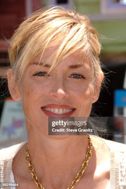 Actress Sharon Stone attends the A Time for Heroes Celebrity Carnival Sponsored by Disney, benefiting the Elizabeth Glaser Pediatric AIDS Foundation,...