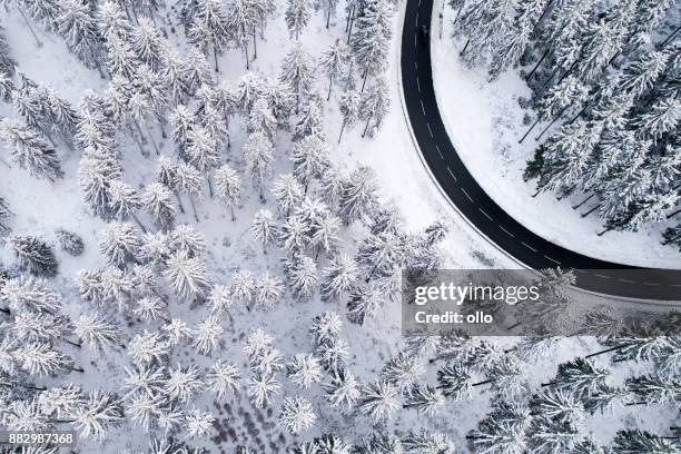 straße durch den winterlichen wald - taunusgebirge stock-fotos und bilder