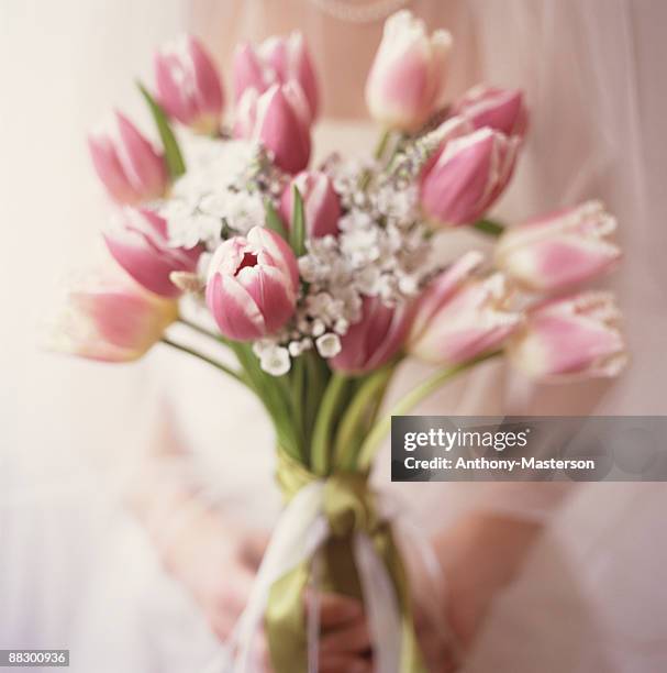 bride's hands holding bouquet of tulips - muscari - fotografias e filmes do acervo