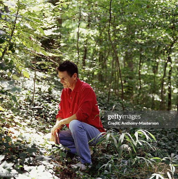 man kneeling in forest - anthony masterson stock-fotos und bilder