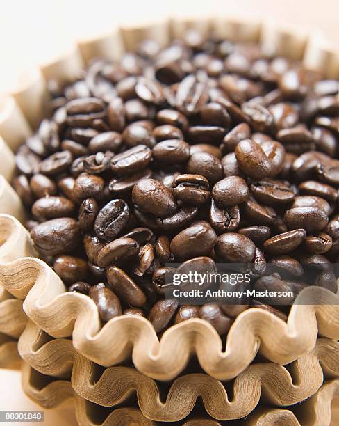 coffee beans in filter - anthony masterson stock-fotos und bilder