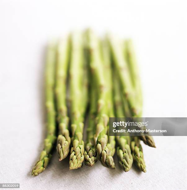 asparagus - anthony masterson stock-fotos und bilder