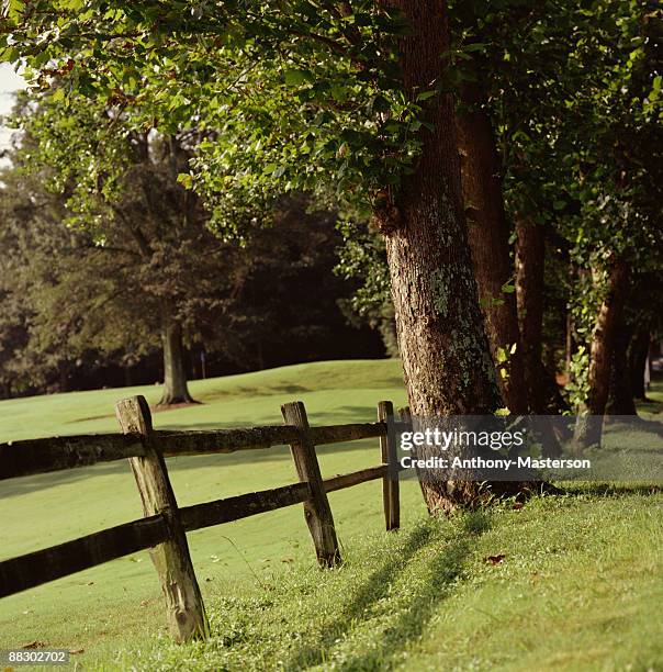 wooden fence through meadow - anthony masterson stock-fotos und bilder