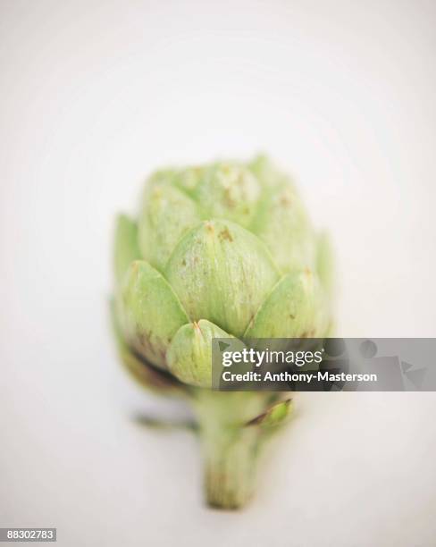 artichoke heart - anthony masterson stock-fotos und bilder