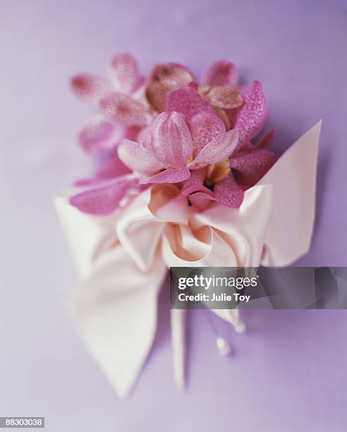 orchid corsage and ribbon - corsage imagens e fotografias de stock