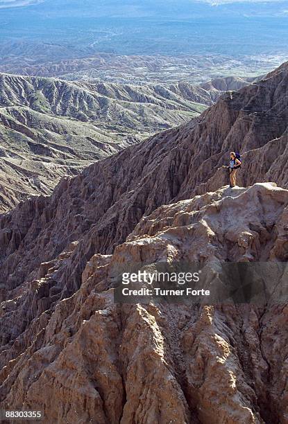 woman overlooking carrizo badlands, anza-borrego desert state park, borrego springs, california - turner forte stockfoto's en -beelden