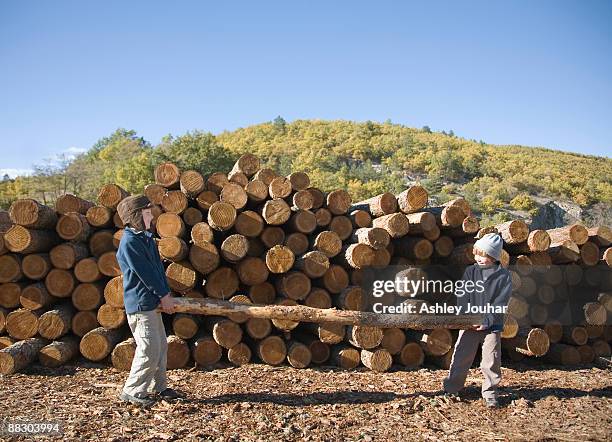 Log Man 199 Two People Carrying A Log Stock Photos, High-Res Pictures, and ...