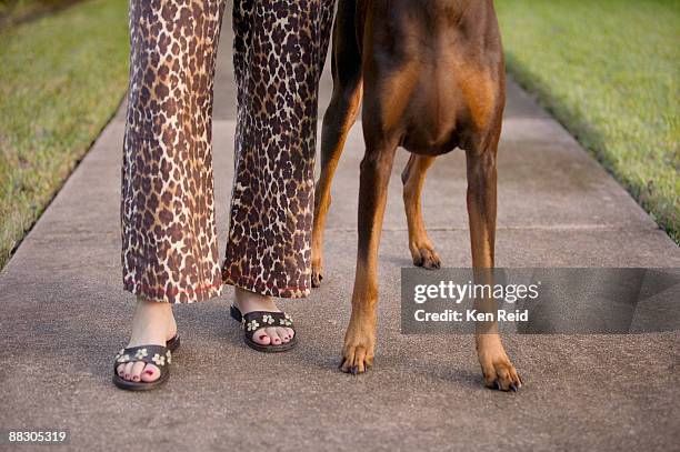 woman and dog standing side by side - open toe stock pictures, royalty-free photos & images