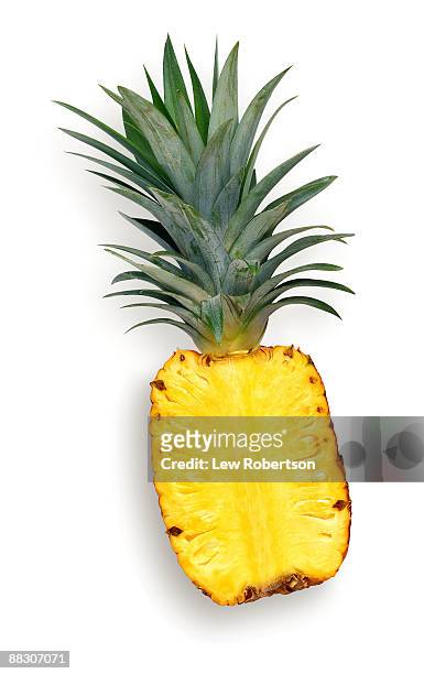 pineapple cross-section - ananas photos et images de collection