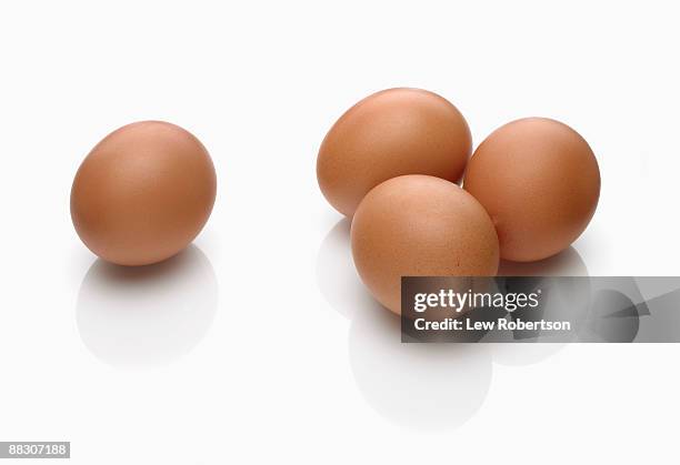 brown eggs on white - animal egg stockfoto's en -beelden