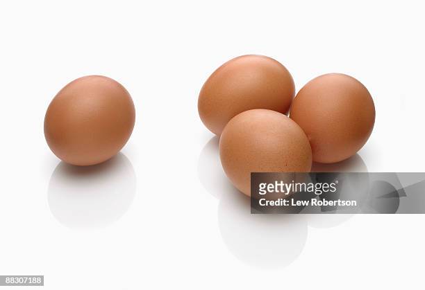 brown eggs on white - animal egg stock pictures, royalty-free photos & images