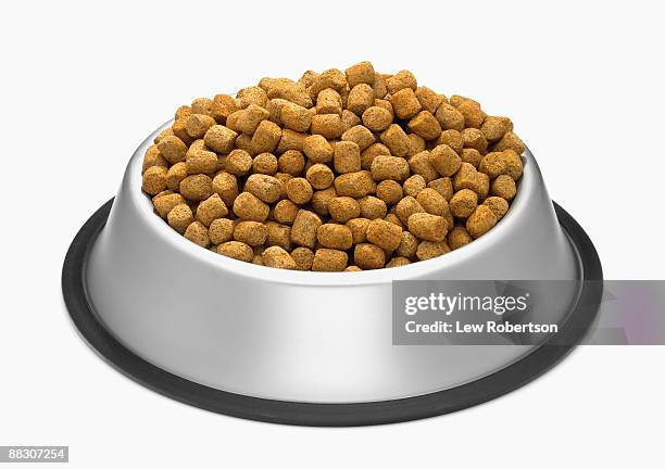 bowl of dog kibble - dog food stock pictures, royalty-free photos & images