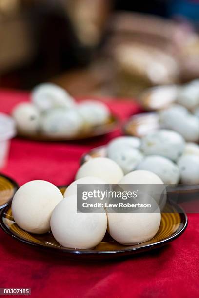 plates of turtle eggs - oeuf de tortue photos et images de collection