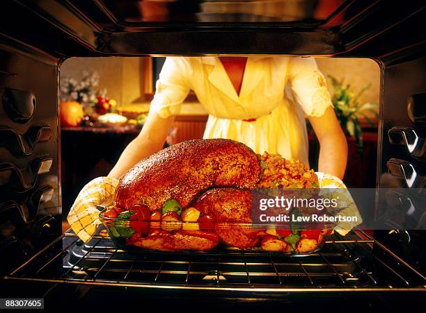 woman preparing roasted turkey in oven - old fashioned thanksgiving stockfoto's en -beelden