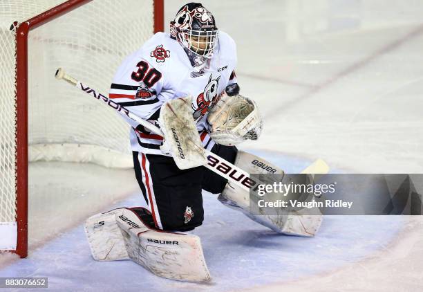 Stephen Dhillon of the Niagara IceDogs makes a save during an OHL game against the Mississauga Steelheads at the Meridian Centre on November 25, 2017...