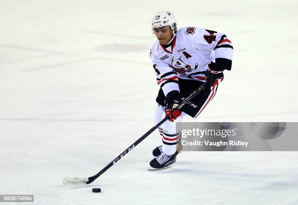 Akil Thomas of the Niagara IceDogs skates during an OHL game against the Mississauga Steelheads at the Meridian Centre on November 25, 2017 in St...