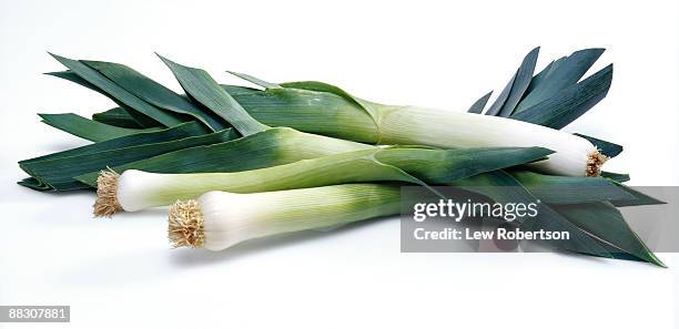 leeks - alho francês imagens e fotografias de stock