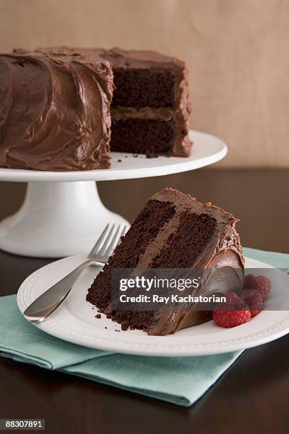 chocolate devil's food cake - mjuk chokladkaka bildbanksfoton och bilder