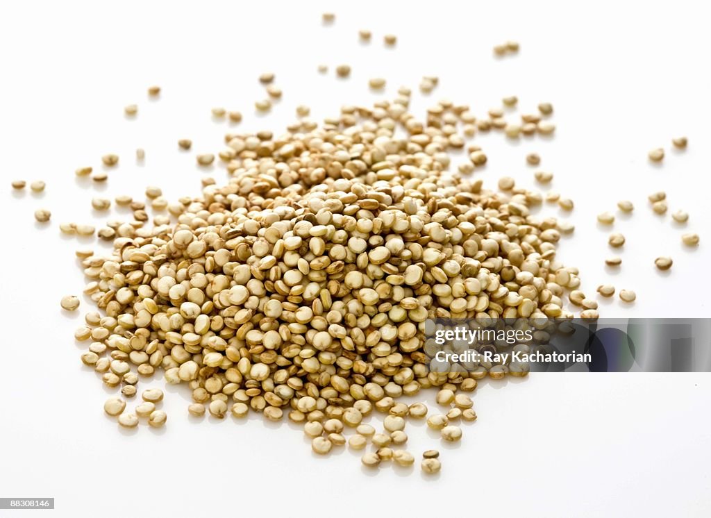 Raw quinoa grain