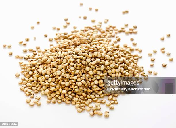 raw quinoa grain - quinua fotografías e imágenes de stock