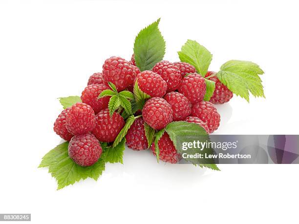 fresh raspberries with leaves - hallon bildbanksfoton och bilder