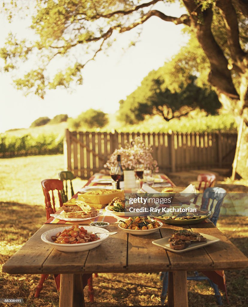 Outdoor Dining Table