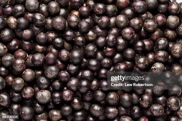 acai berries - acai berries stockfoto's en -beelden