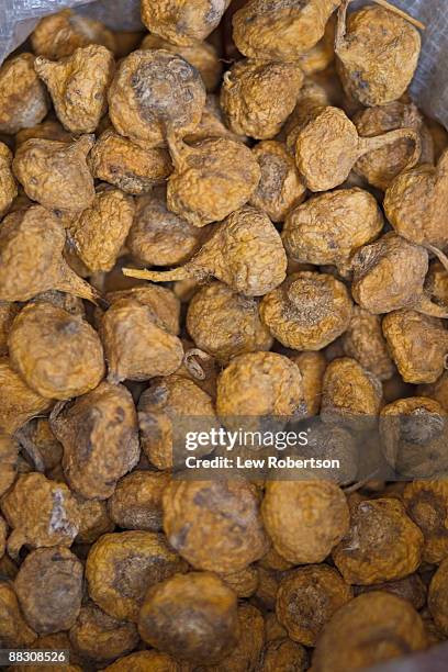 pile of maca - maca plant stock pictures, royalty-free photos & images