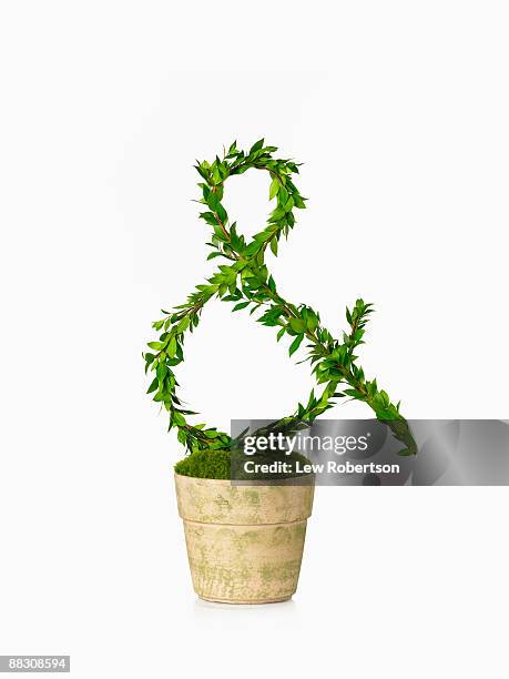 potted plant as ampersand - ampersand stock pictures, royalty-free photos & images