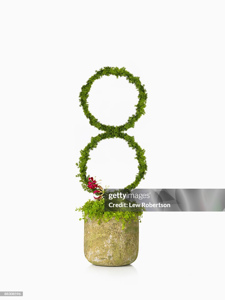 Potted plant as number eight