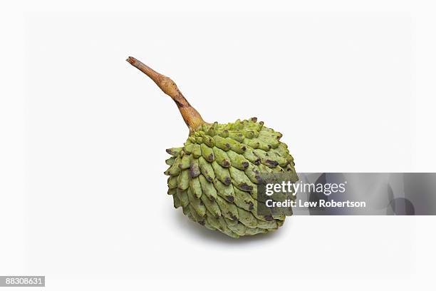 cherimoya - custard apple stock pictures, royalty-free photos & images