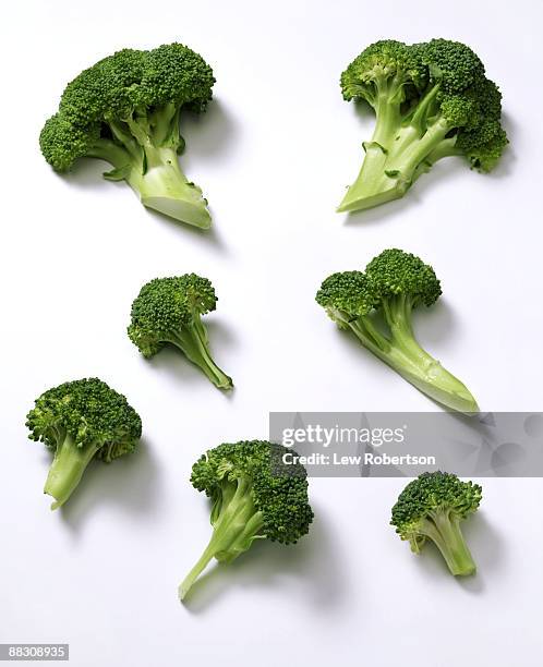 broccoli on white - broccoli on white stockfoto's en -beelden