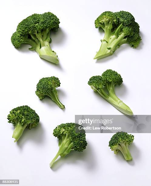 broccoli on white - brocolli stock pictures, royalty-free photos & images