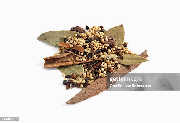 garam masala - garam masala stock pictures, royalty-free photos & images