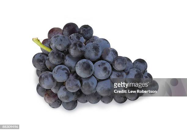 bunch of cabernet grapes - red grapes stock pictures, royalty-free photos & images