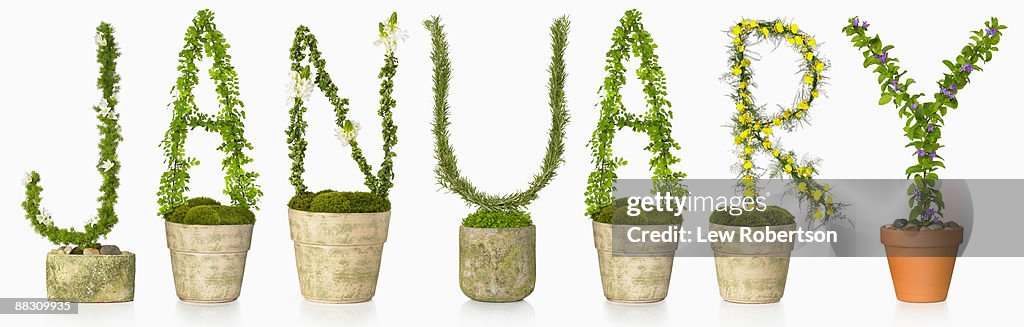 Potted plants spelling January