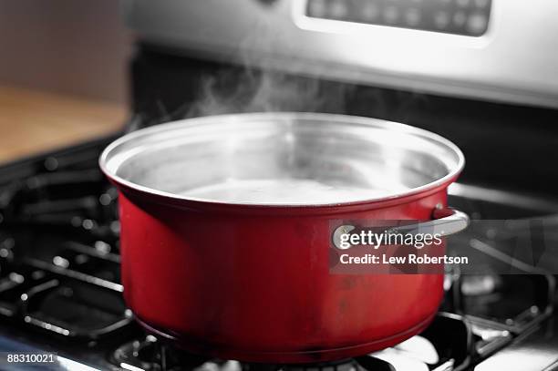 pot of boiling water on stove top - kokande bildbanksfoton och bilder