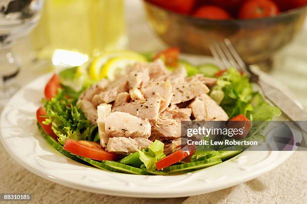 tuna salad - seafood salad stock pictures, royalty-free photos & images