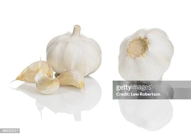 garlic bulbs - knoblauch stock-fotos und bilder