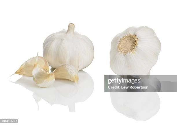 garlic bulbs - knoflook stockfoto's en -beelden