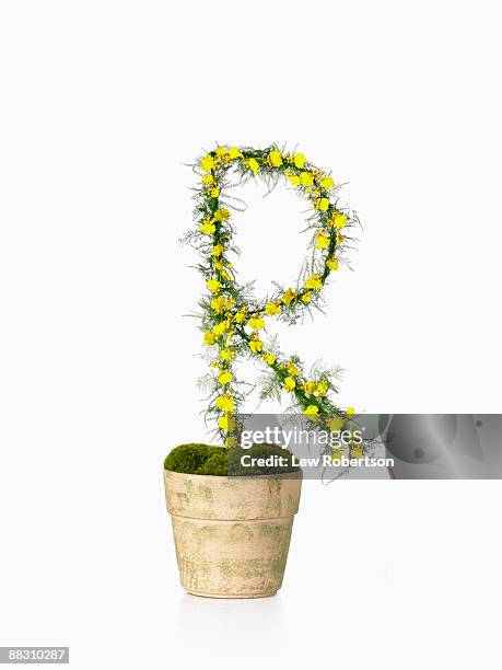 Letter R Plants Potted Plant As Letter R High-Res Stock Photo - Getty Images