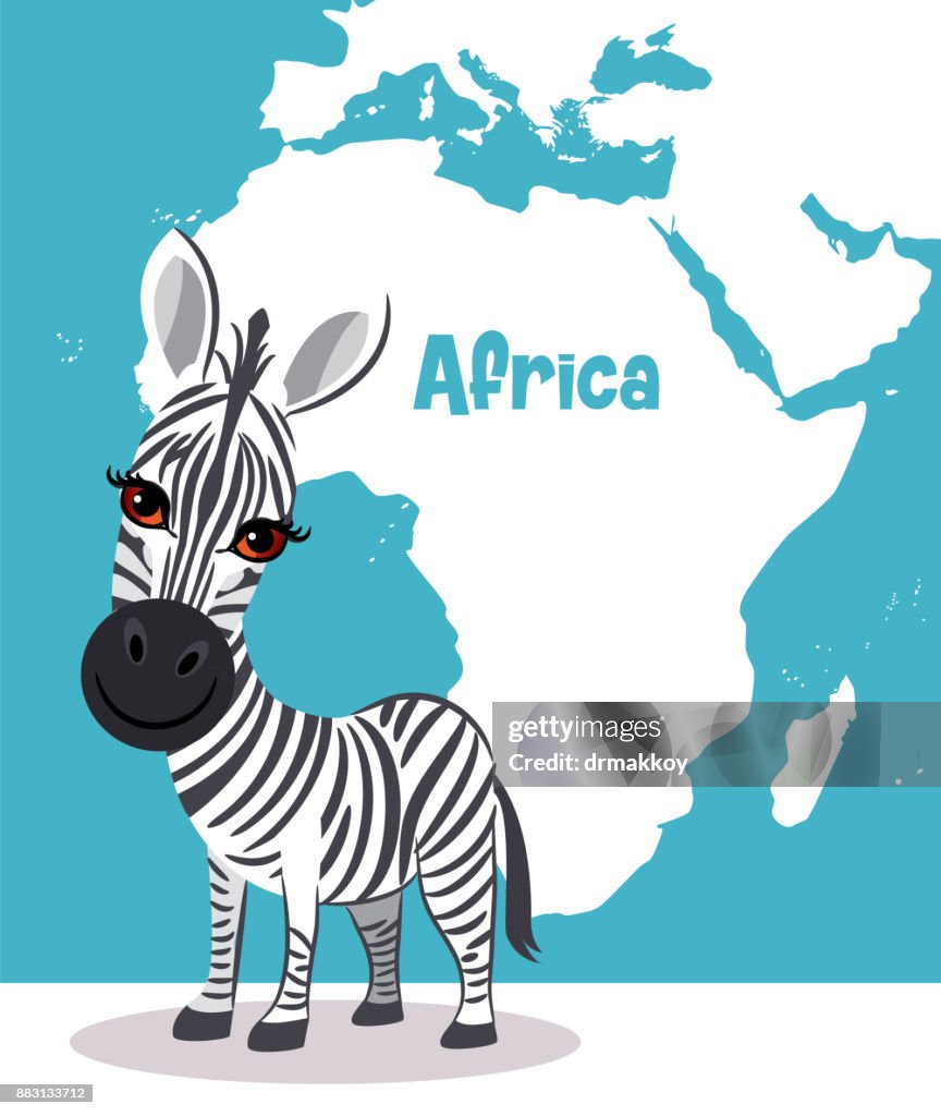 Zebra