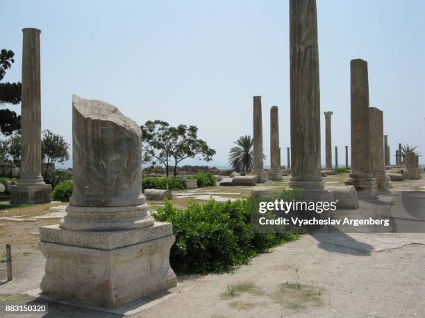 ancient columns at al mina excavation site, supposed palaestra, tyre, lebanon - palaestra stock pictures, royalty-free photos & images