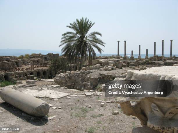 remains of ancient columns at al mina excavation site, supposed palaestra, tyre, lebanon - palaestra stock pictures, royalty-free photos & images