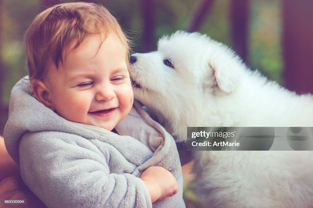 Child with samoyed puppy