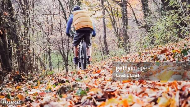 Man Log Riding 808 Log Training Stock Photos, High-Res Pictures, and Images - Getty Images