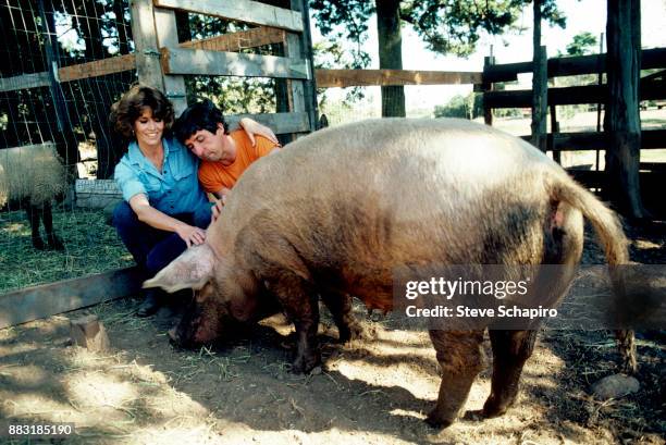 View of American married couple, actress Jane Fonda and politician & activist Tom Hayden , with one of the pigs on their property, Santa Barbara,...